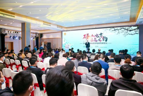 首屆中國碭山農村電商發展論壇成功舉辦