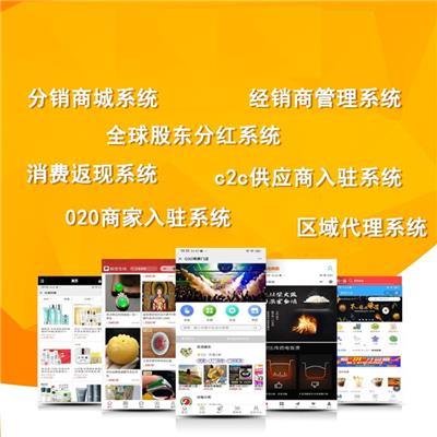 聊城網站建設軟件開發公司